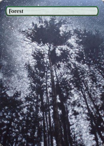 Alter for 121295 by Antonio Domingues